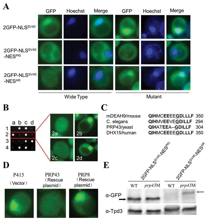 https://cdn.ncbi.nlm.nih.gov/pmc/blobs/d5ce/5794523/35f6c4e24c57/nihms902666f1.jpg