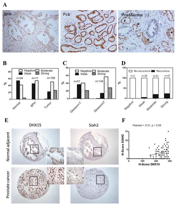 https://cdn.ncbi.nlm.nih.gov/pmc/blobs/d5ce/5794523/36783bc928b5/nihms902666f7.jpg