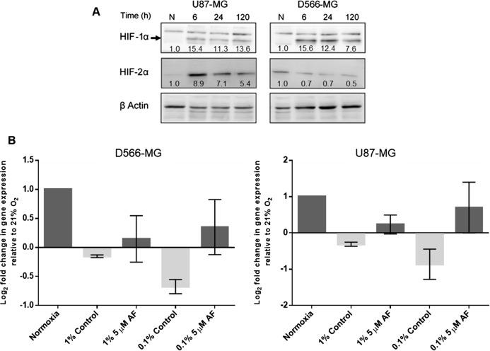 https://cdn.ncbi.nlm.nih.gov/pmc/blobs/d5ce/8092103/93fd89340110/peerj-09-11275-g005.jpg