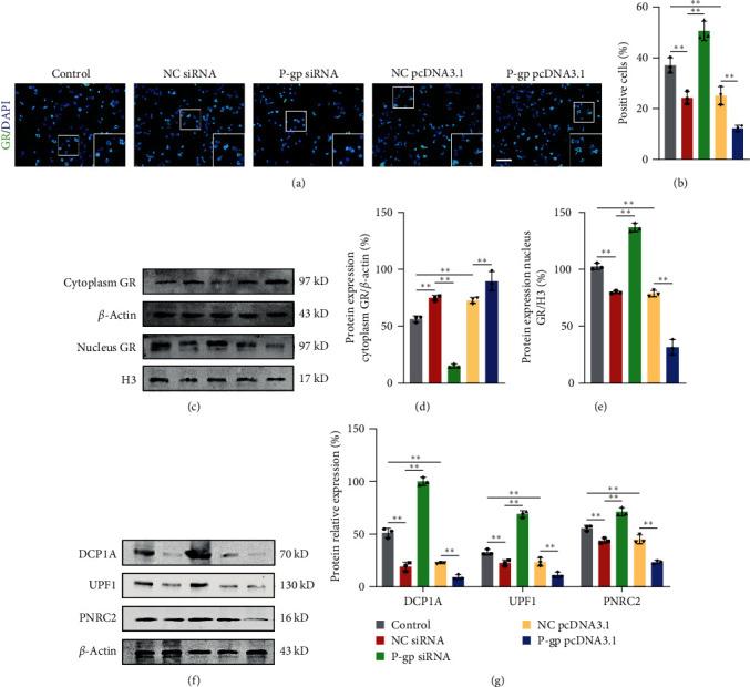 https://cdn.ncbi.nlm.nih.gov/pmc/blobs/d5d1/10748718/36ed8e67216d/OMCL2023-6916819.008.jpg