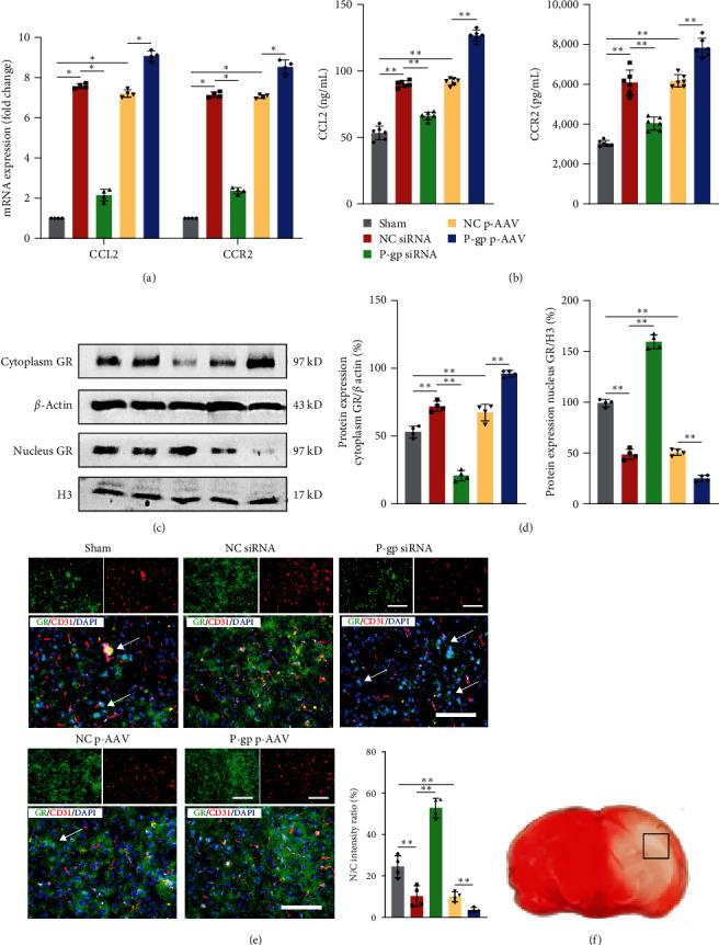 https://cdn.ncbi.nlm.nih.gov/pmc/blobs/d5d1/10748718/732793b13f91/OMCL2023-6916819.004.jpg