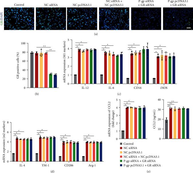 https://cdn.ncbi.nlm.nih.gov/pmc/blobs/d5d1/10748718/f637d2553651/OMCL2023-6916819.009.jpg