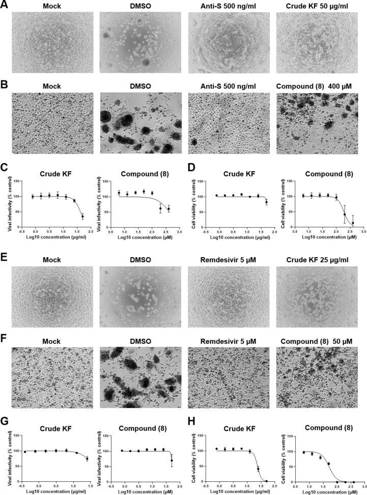 https://cdn.ncbi.nlm.nih.gov/pmc/blobs/d5d4/11845762/6f355389a5b7/41598_2025_89736_Fig5_HTML.jpg