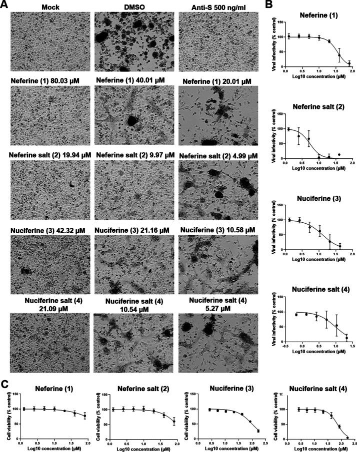 https://cdn.ncbi.nlm.nih.gov/pmc/blobs/d5d4/11845762/73067811e540/41598_2025_89736_Fig4_HTML.jpg