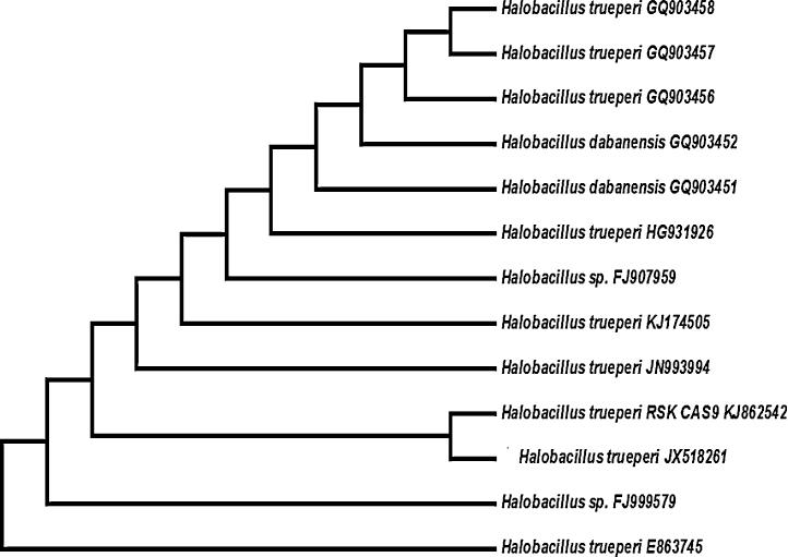 https://cdn.ncbi.nlm.nih.gov/pmc/blobs/d5d6/4980739/42b7901ad58d/gr1.jpg