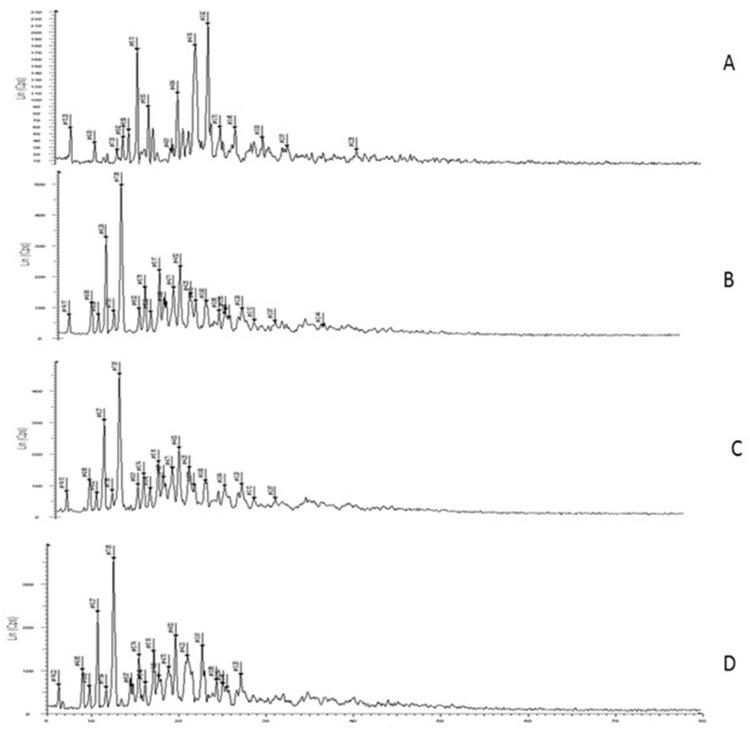 https://cdn.ncbi.nlm.nih.gov/pmc/blobs/d5d8/11559214/e304eb5b3864/IJN-19-11561-g0003.jpg