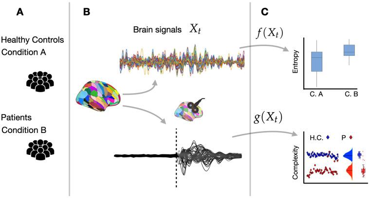 https://cdn.ncbi.nlm.nih.gov/pmc/blobs/d5d8/11854896/7b68a103c140/entropy-27-00115-g003.jpg