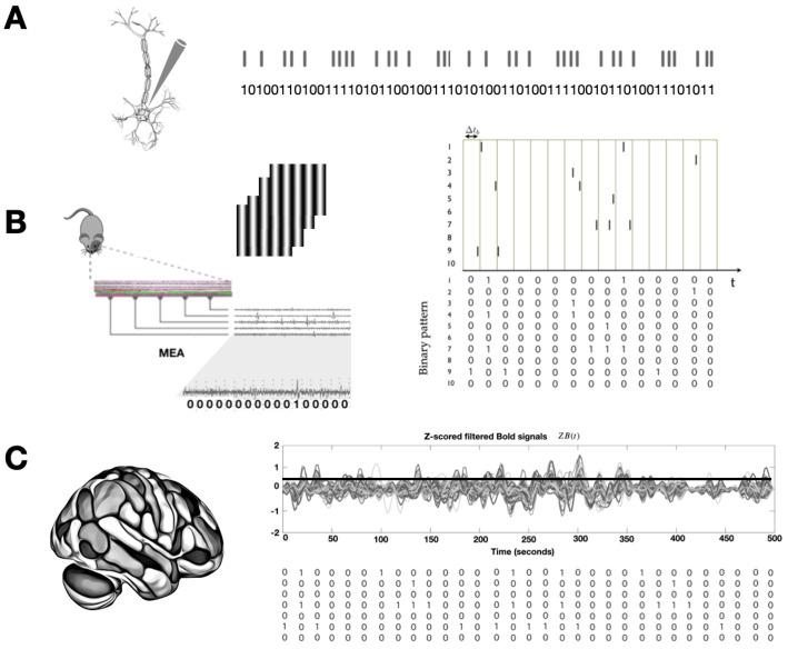 https://cdn.ncbi.nlm.nih.gov/pmc/blobs/d5d8/11854896/aa25066ddf4d/entropy-27-00115-g001.jpg