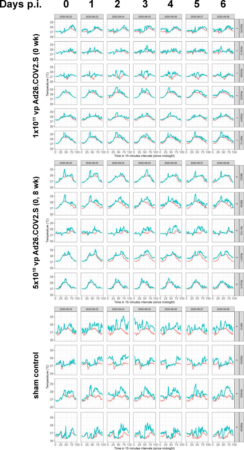 https://cdn.ncbi.nlm.nih.gov/pmc/blobs/d5d8/8085771/35bef7f32bef/JEM_20202756_FigS5.jpg