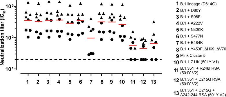 https://cdn.ncbi.nlm.nih.gov/pmc/blobs/d5d8/8085771/b80ad5345e56/JEM_20202756_Fig6.jpg