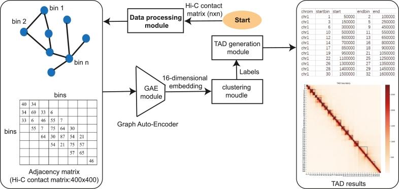 https://cdn.ncbi.nlm.nih.gov/pmc/blobs/d5d9/10562672/469ad7659f50/gr001.jpg