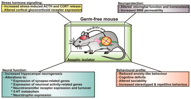 https://cdn.ncbi.nlm.nih.gov/pmc/blobs/d5d9/11351870/410502c6d464/biomedicines-12-01628-g001.jpg