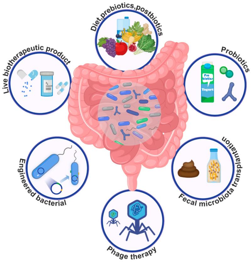 https://cdn.ncbi.nlm.nih.gov/pmc/blobs/d5d9/11351870/7708a1ad9fbc/biomedicines-12-01628-g005.jpg