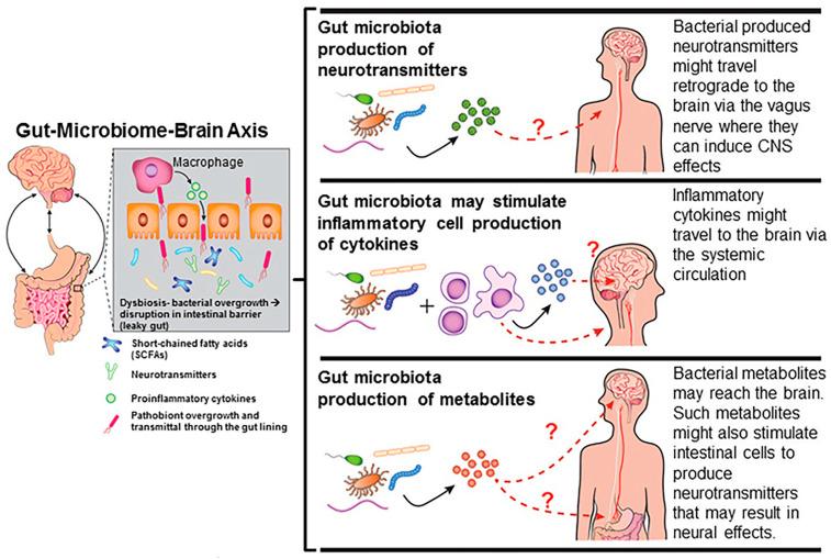 https://cdn.ncbi.nlm.nih.gov/pmc/blobs/d5d9/11351870/e41bb0dd07fc/biomedicines-12-01628-g002.jpg