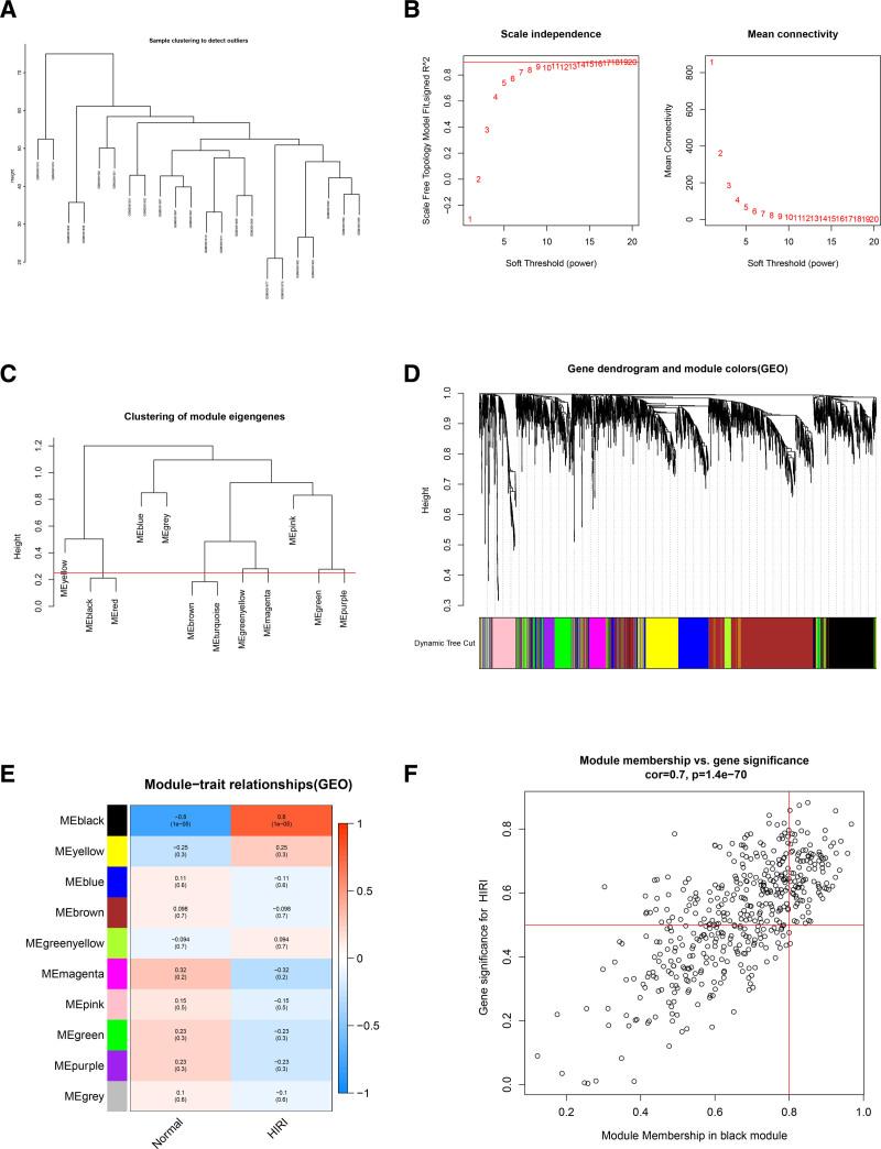 https://cdn.ncbi.nlm.nih.gov/pmc/blobs/d5d9/12208648/f929956b54be/txd-11-e1829-g003.jpg