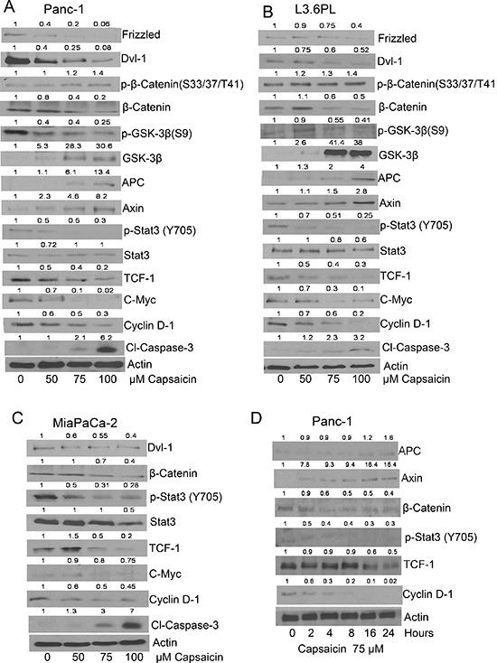 https://cdn.ncbi.nlm.nih.gov/pmc/blobs/d5d9/4484476/b6429b9ee118/oncotarget-06-11561-g001.jpg
