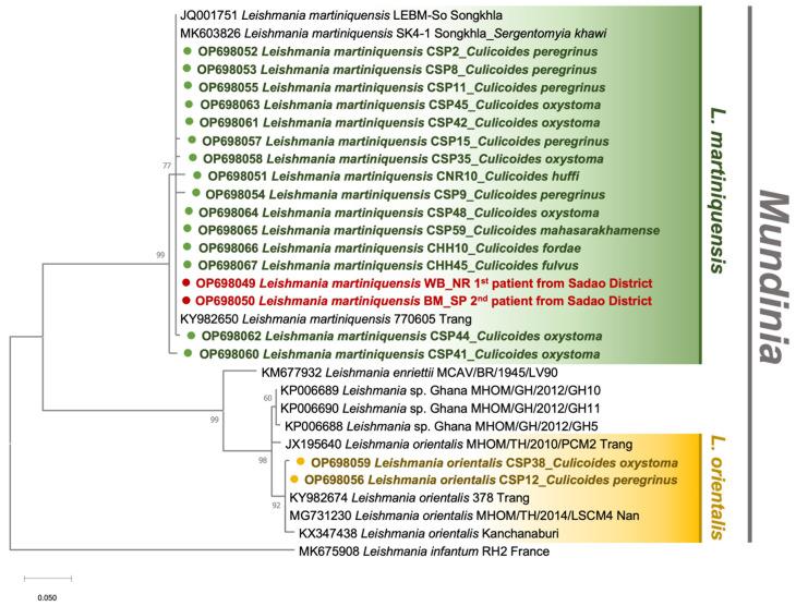 https://cdn.ncbi.nlm.nih.gov/pmc/blobs/d5db/9696774/38910c1d1cbc/tropicalmed-07-00379-g004.jpg