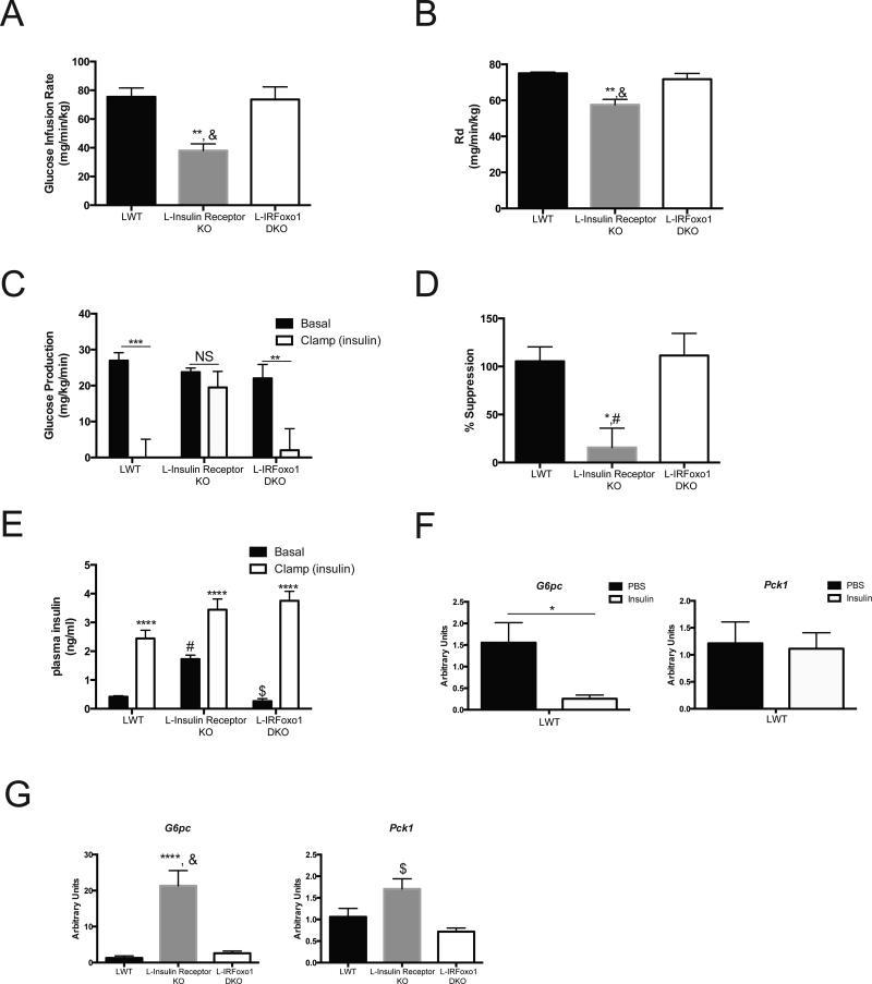 https://cdn.ncbi.nlm.nih.gov/pmc/blobs/d5dc/4429930/c50d579f334e/nihms-677629-f0003.jpg