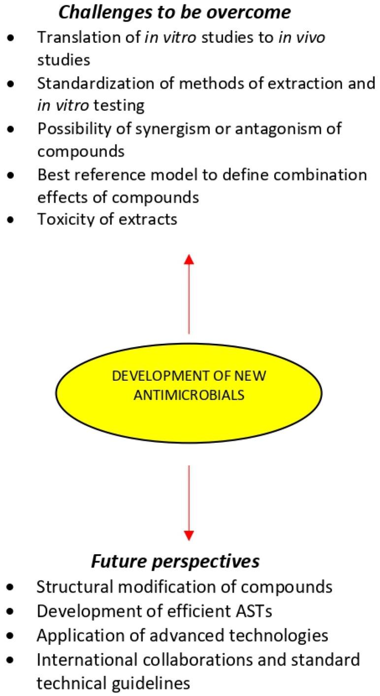 https://cdn.ncbi.nlm.nih.gov/pmc/blobs/d5dc/8541629/2fa52a3f8b90/microorganisms-09-02041-g003.jpg
