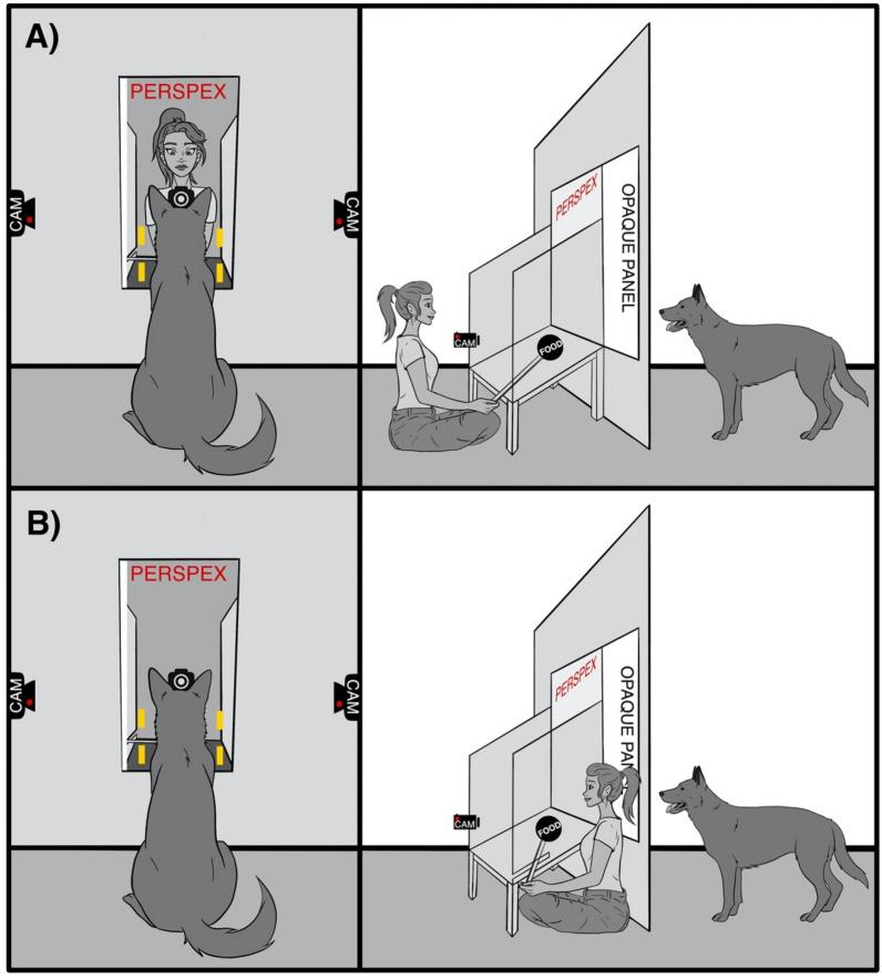 https://cdn.ncbi.nlm.nih.gov/pmc/blobs/d5dc/9192729/f7e7173e9e01/41598_2022_13566_Fig3_HTML.jpg