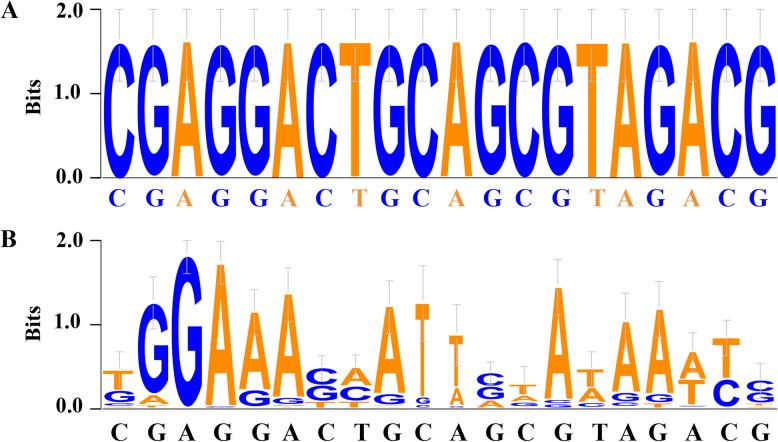 https://cdn.ncbi.nlm.nih.gov/pmc/blobs/d5de/12036255/f4ebf42d4290/12864_2025_11602_Fig2_HTML.jpg
