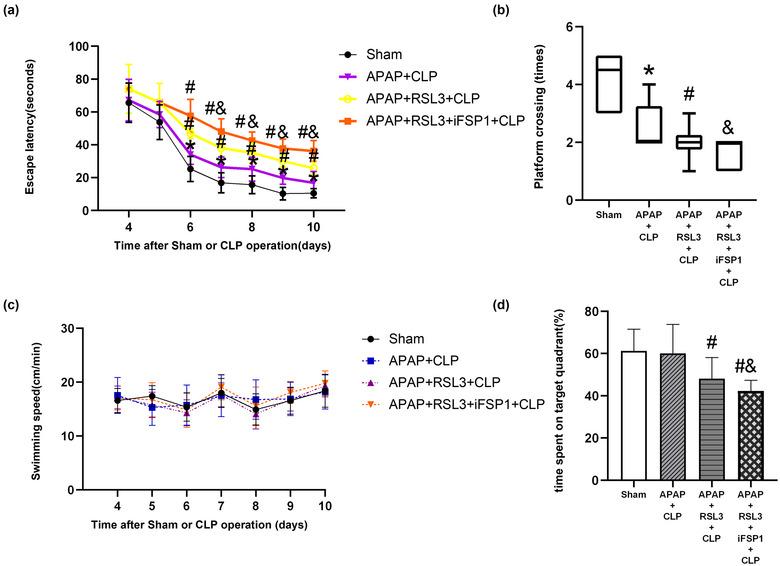https://cdn.ncbi.nlm.nih.gov/pmc/blobs/d5df/10454284/02998ce42d83/BRB3-13-e3145-g008.jpg