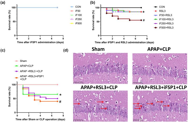 https://cdn.ncbi.nlm.nih.gov/pmc/blobs/d5df/10454284/32f75cbe3f0b/BRB3-13-e3145-g007.jpg