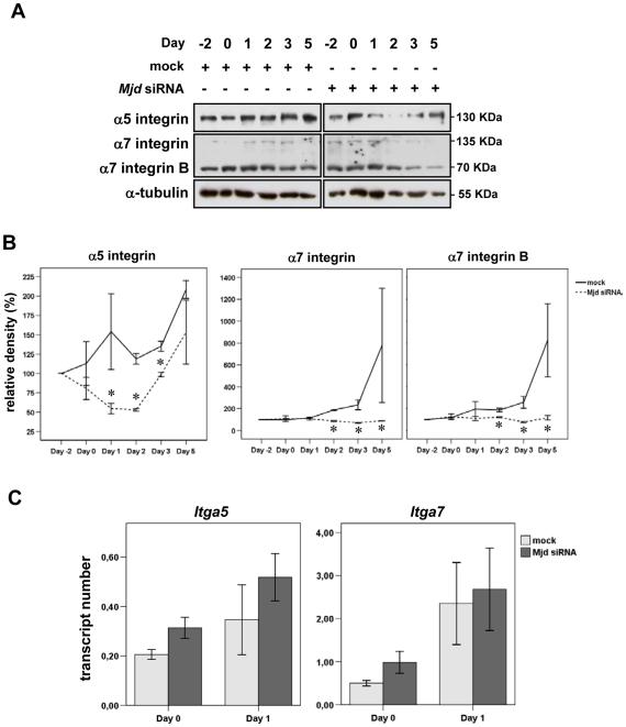https://cdn.ncbi.nlm.nih.gov/pmc/blobs/d5df/2909204/68eab026c2ec/pone.0011728.g003.jpg