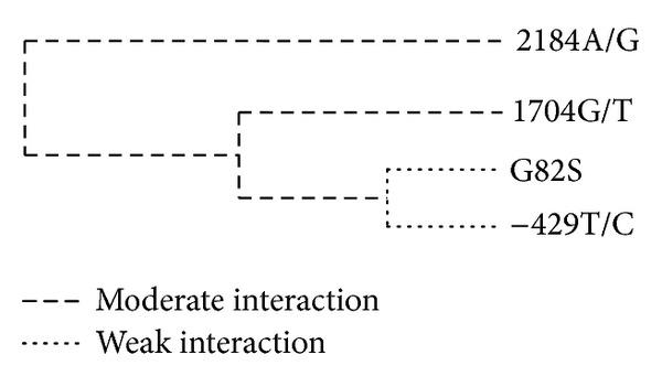 https://cdn.ncbi.nlm.nih.gov/pmc/blobs/d5e0/3835200/270a8dab520a/JDR2013-264579.001.jpg