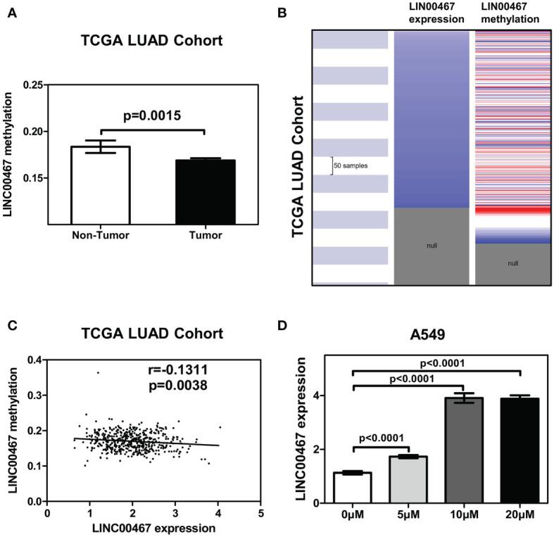 https://cdn.ncbi.nlm.nih.gov/pmc/blobs/d5e1/8792904/a9433ff0ec4a/fendo-12-802463-g003.jpg