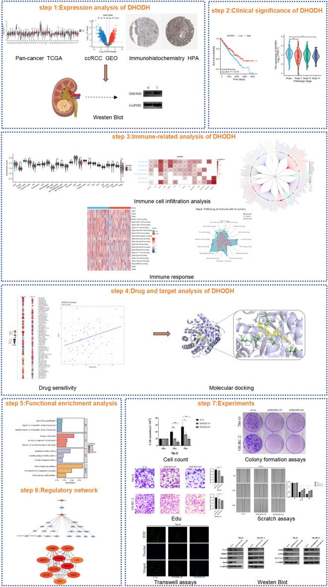 https://cdn.ncbi.nlm.nih.gov/pmc/blobs/d5e3/11127953/3bc3d25bb4f2/41598_2024_62738_Fig1_HTML.jpg