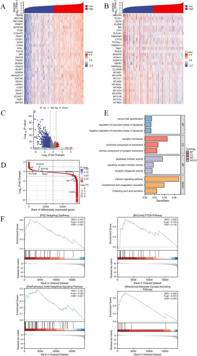 https://cdn.ncbi.nlm.nih.gov/pmc/blobs/d5e3/11127953/b7752dd8bd79/41598_2024_62738_Fig6_HTML.jpg