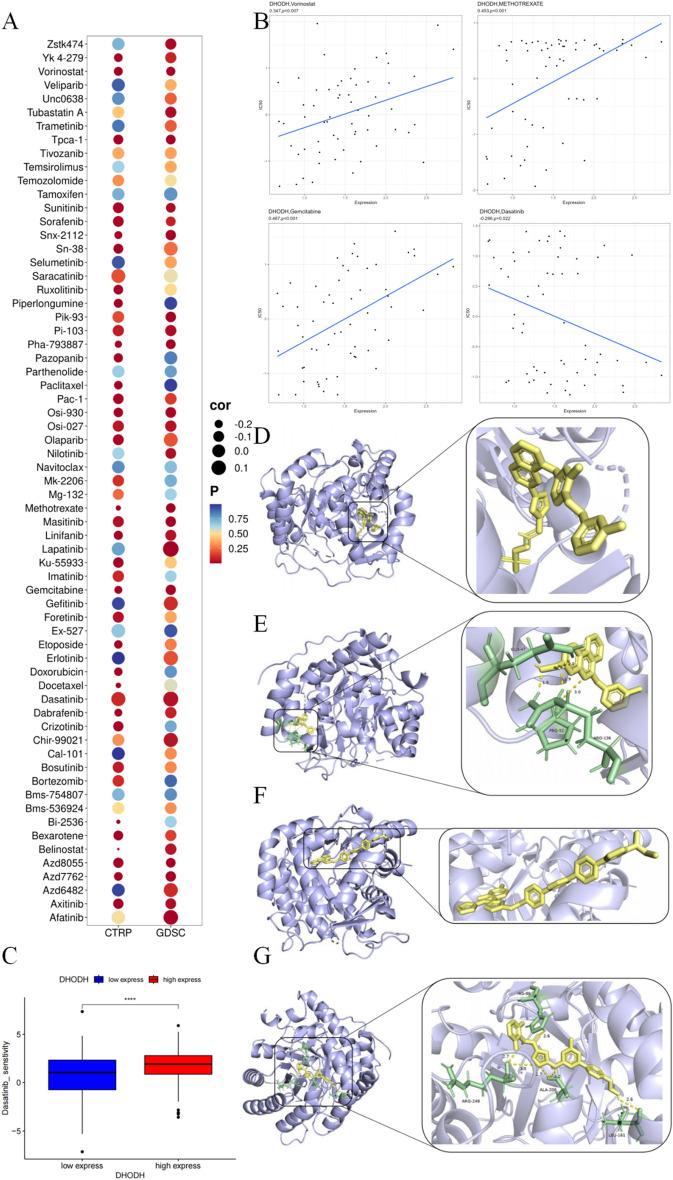 https://cdn.ncbi.nlm.nih.gov/pmc/blobs/d5e3/11127953/b86563711e0e/41598_2024_62738_Fig5_HTML.jpg