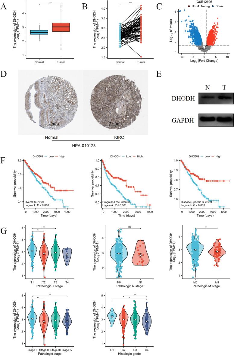 https://cdn.ncbi.nlm.nih.gov/pmc/blobs/d5e3/11127953/cd7212ef2190/41598_2024_62738_Fig3_HTML.jpg