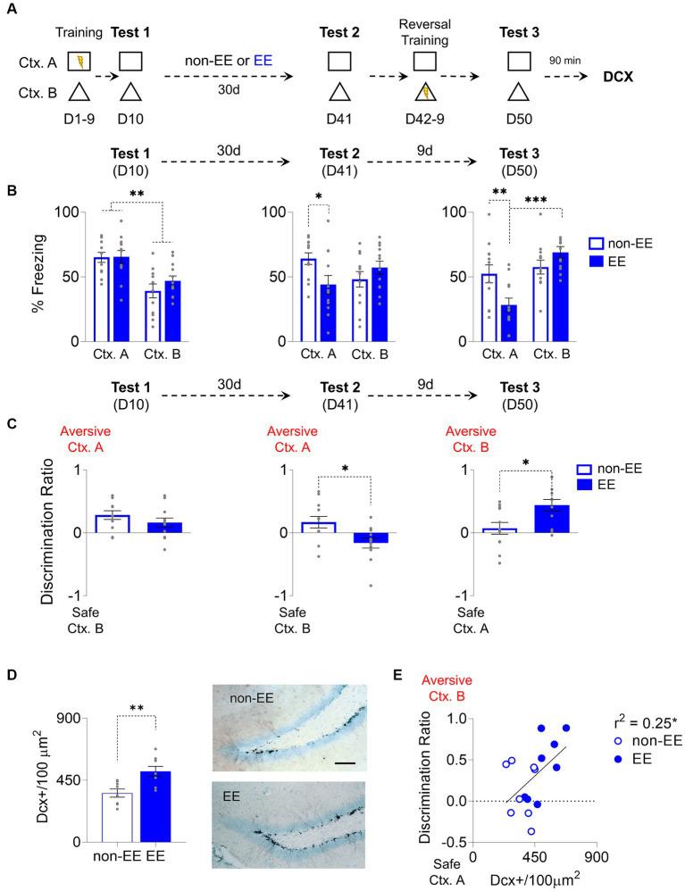 https://cdn.ncbi.nlm.nih.gov/pmc/blobs/d5e6/10813213/f646701f0197/fnbeh-17-1331928-g001.jpg