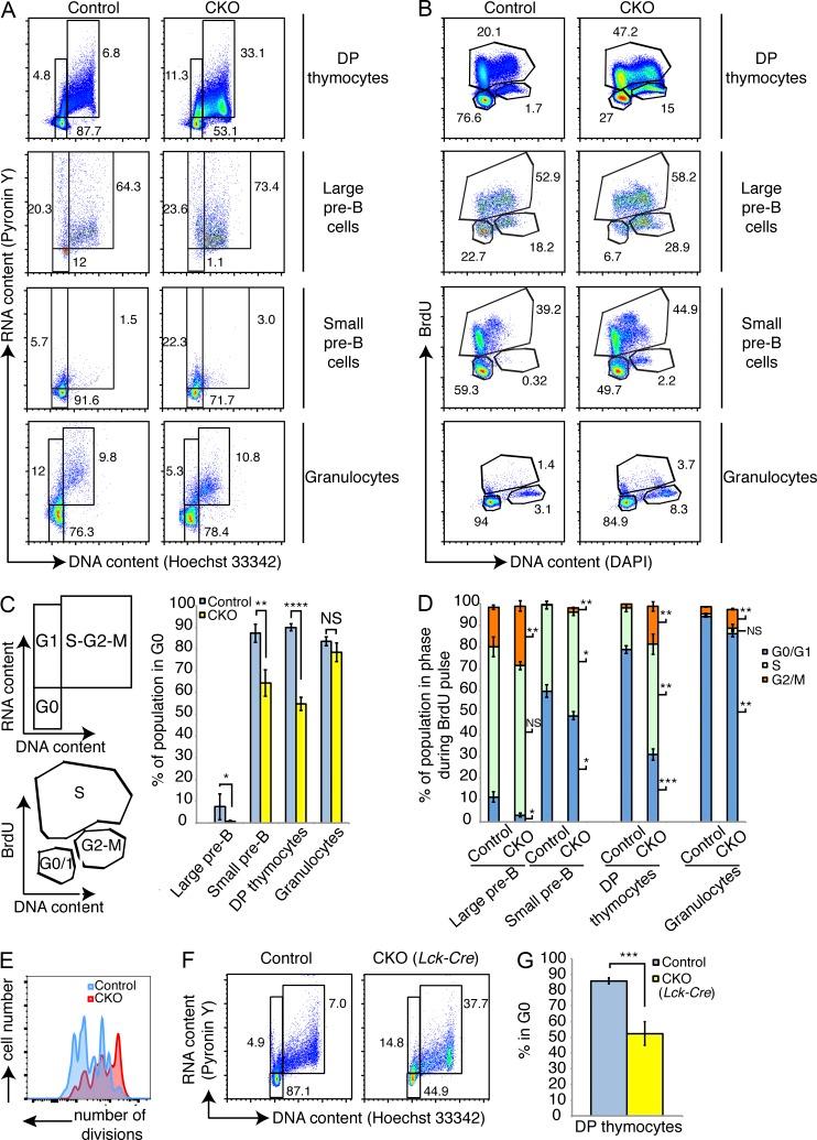 https://cdn.ncbi.nlm.nih.gov/pmc/blobs/d5e6/4451127/470c7ba04951/JEM_20150002_Fig5.jpg