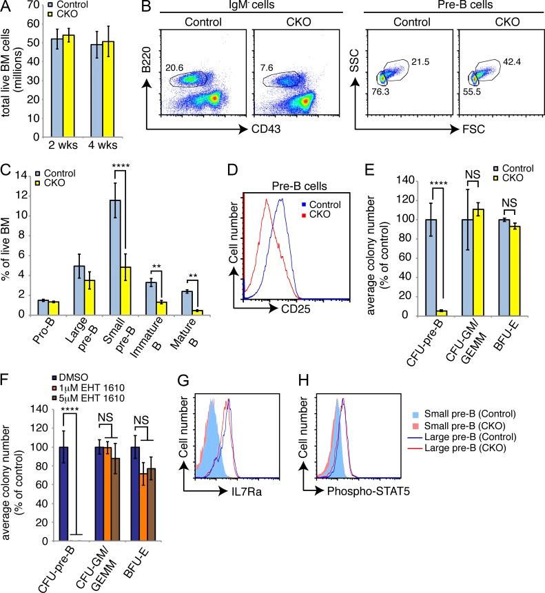 https://cdn.ncbi.nlm.nih.gov/pmc/blobs/d5e6/4451127/ce35a3ba7b19/JEM_20150002_Fig2.jpg