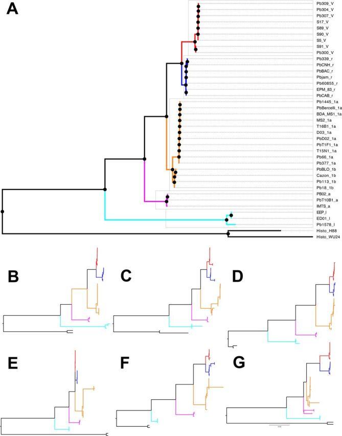https://cdn.ncbi.nlm.nih.gov/pmc/blobs/d5e6/8534288/3e7fc8b5adae/mbio.01999-20-f0002.jpg