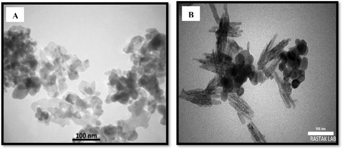 https://cdn.ncbi.nlm.nih.gov/pmc/blobs/d5e7/10516962/5c23a492c08c/41598_2023_42974_Fig3_HTML.jpg