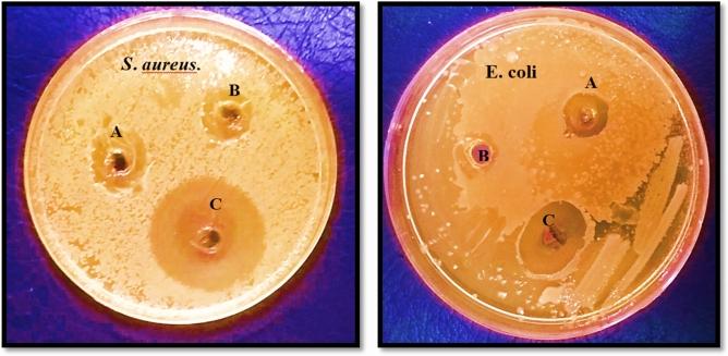 https://cdn.ncbi.nlm.nih.gov/pmc/blobs/d5e7/10516962/5db4a563efe9/41598_2023_42974_Fig6_HTML.jpg