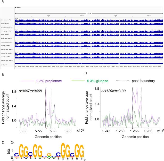 https://cdn.ncbi.nlm.nih.gov/pmc/blobs/d5e9/10501769/79cbdc842416/elife-80218-fig11.jpg