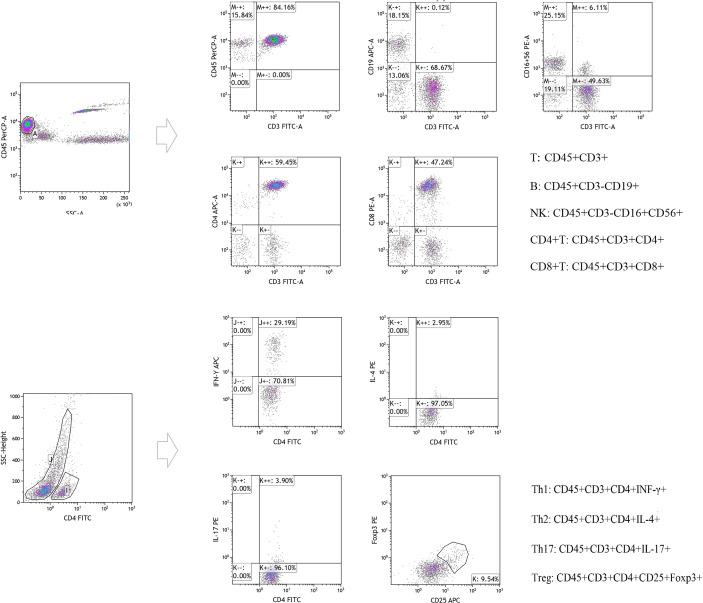 https://cdn.ncbi.nlm.nih.gov/pmc/blobs/d5e9/9280633/4c09a079e60b/fimmu-13-901263-g001.jpg