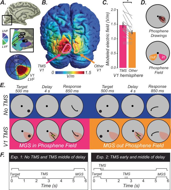 https://cdn.ncbi.nlm.nih.gov/pmc/blobs/d5eb/11920198/2c6617a3fe5e/41467_2025_57882_Fig1_HTML.jpg