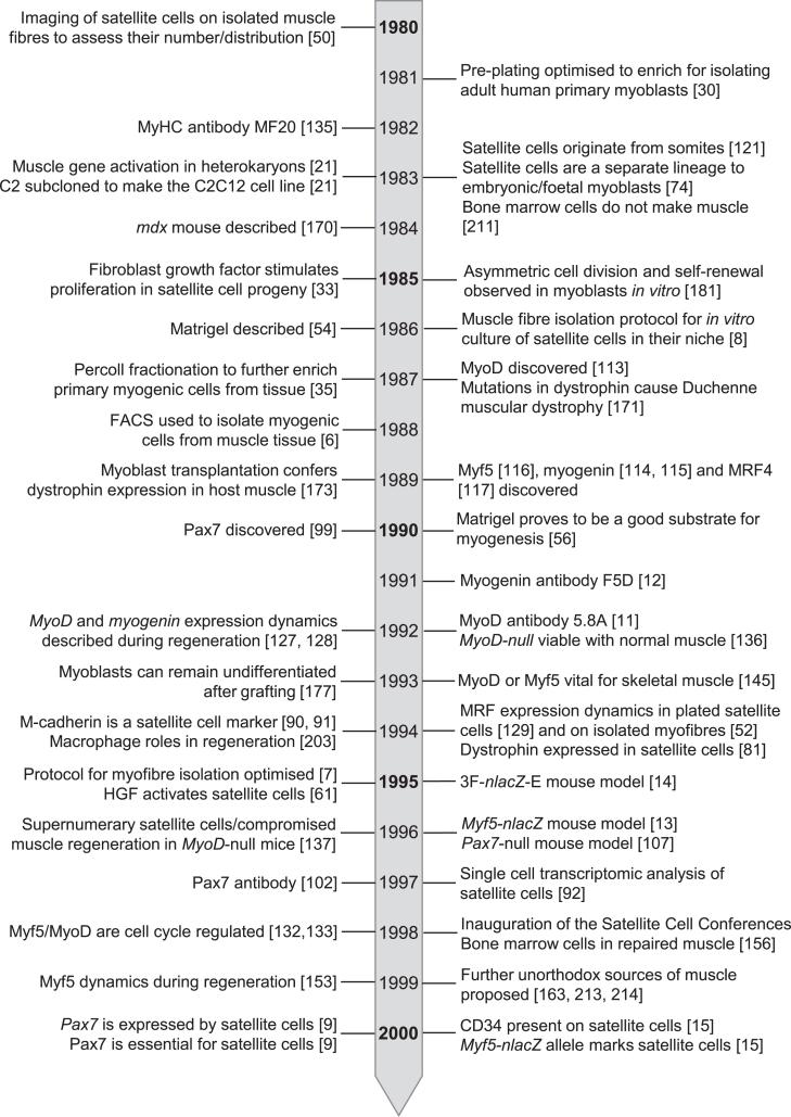 https://cdn.ncbi.nlm.nih.gov/pmc/blobs/d5eb/8673500/8d92e17e1891/jnd-8-jnd210705-g004.jpg