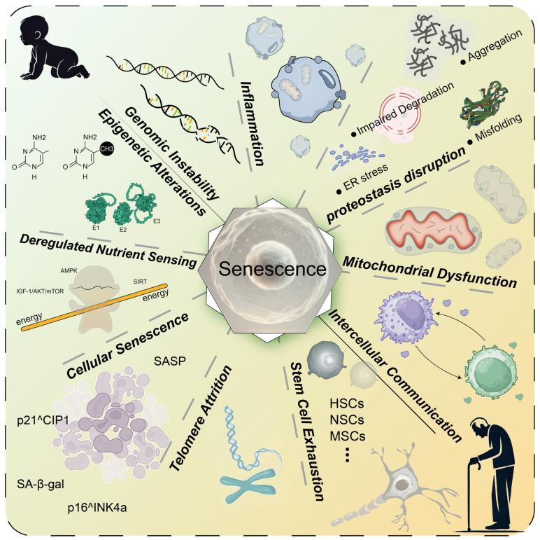 https://cdn.ncbi.nlm.nih.gov/pmc/blobs/d5ed/11858480/587174abc500/molecules-30-00816-g001.jpg