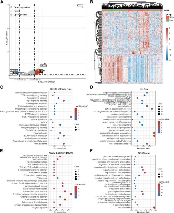 https://cdn.ncbi.nlm.nih.gov/pmc/blobs/d5ee/10516578/906b762e15b4/fcell-11-1171047-g005.jpg