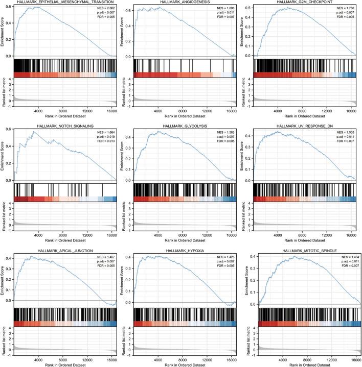 https://cdn.ncbi.nlm.nih.gov/pmc/blobs/d5ee/10516578/bd20726b9350/fcell-11-1171047-g006.jpg