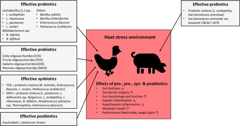 https://cdn.ncbi.nlm.nih.gov/pmc/blobs/d5f2/9673442/327ddbba3aaa/40104_2022_783_Fig3_HTML.jpg