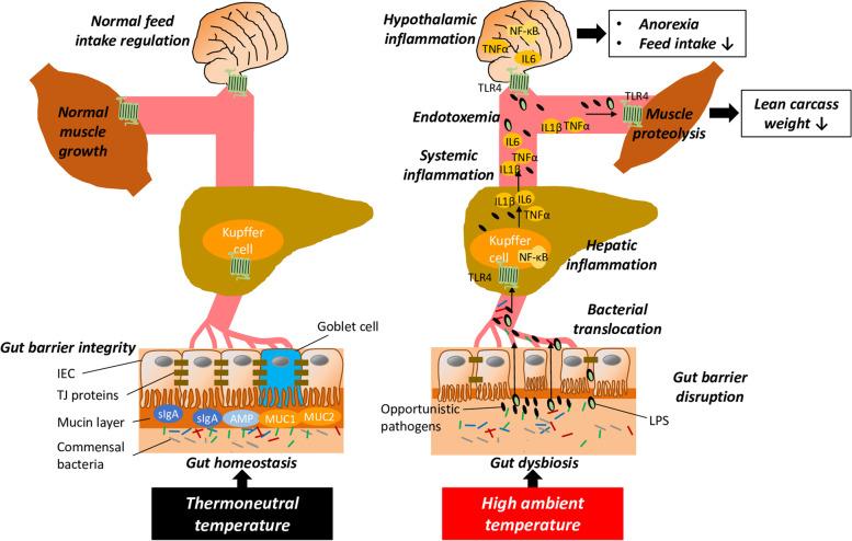 https://cdn.ncbi.nlm.nih.gov/pmc/blobs/d5f2/9673442/7ee12354c434/40104_2022_783_Fig2_HTML.jpg