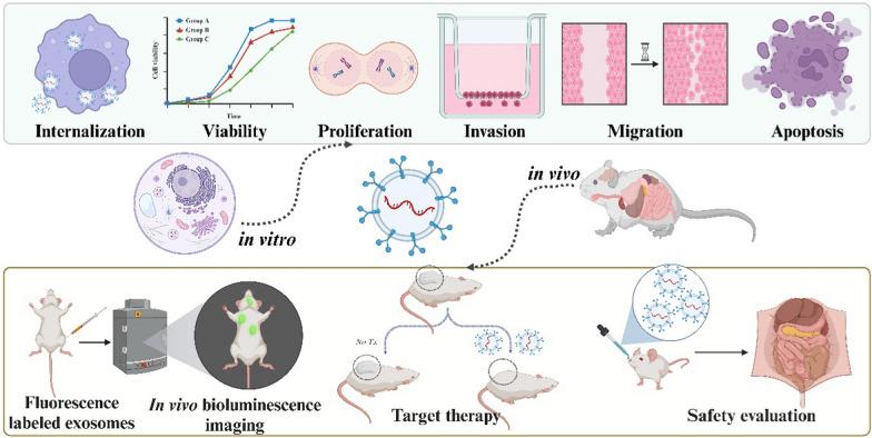 https://cdn.ncbi.nlm.nih.gov/pmc/blobs/d5f3/10765779/ac7817552934/12951_2023_2259_Fig4_HTML.jpg